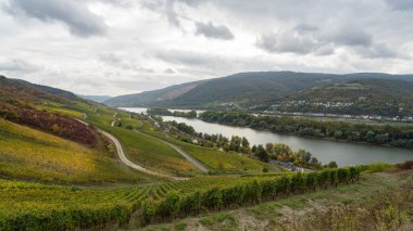 Ren nehrinin sonbahar manzarası. Yüksek kalite fotoğraf