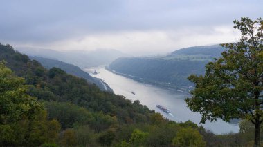 Ren nehrinin sonbahar manzarası. Yüksek kalite fotoğraf