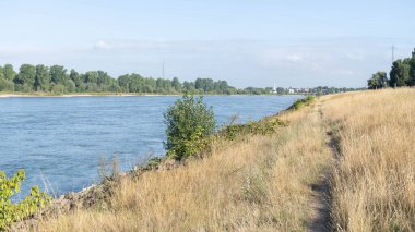 Duesseldorf Almanya 'sındaki Ren Nehri manzarasına bakın. Yüksek kalite fotoğraf