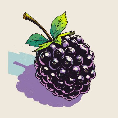 Grafik tasarımı için böğürtlen meyve vektör sanatı