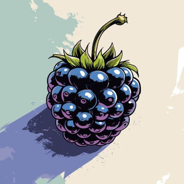 Grafik tasarımı için böğürtlen meyve vektör sanatı