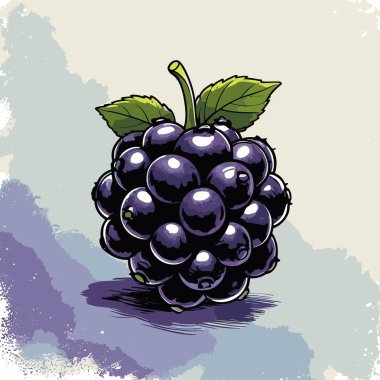 Tasarım için böğürtlen vektör sanatı