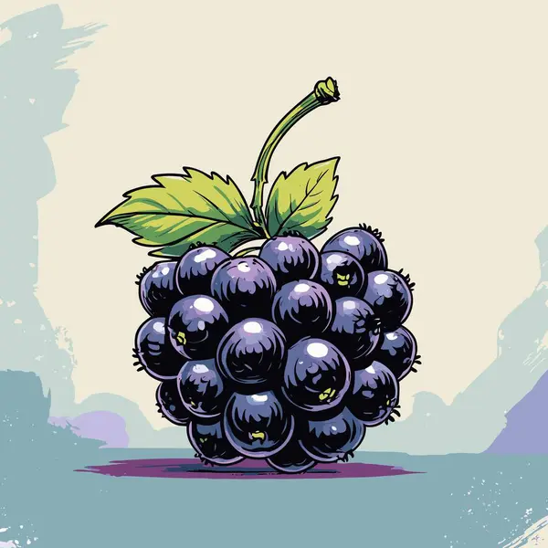 Grafik tasarımı için böğürtlen meyve vektör sanatı