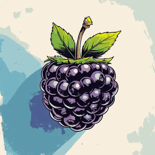 Grafik tasarımı için böğürtlen meyve vektör sanatı