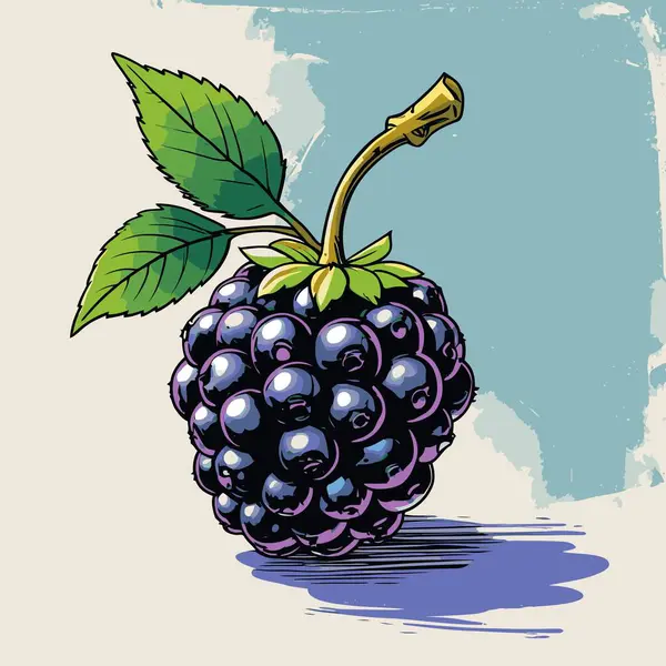 Grafik tasarımı için böğürtlen meyve vektör sanatı