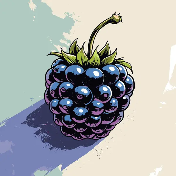 Grafik tasarımı için böğürtlen meyve vektör sanatı