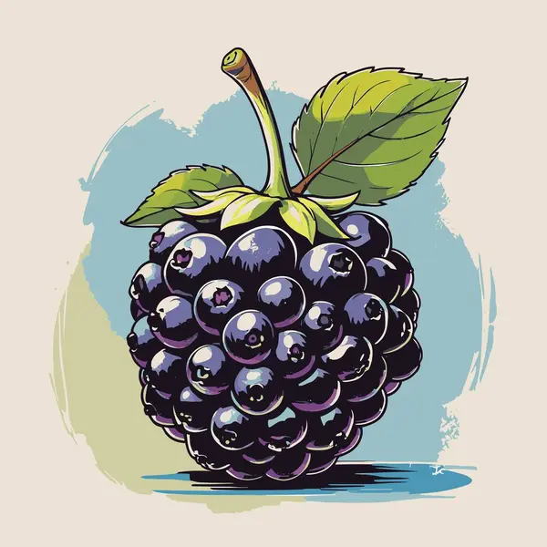 Tasarım için böğürtlen vektör sanatı