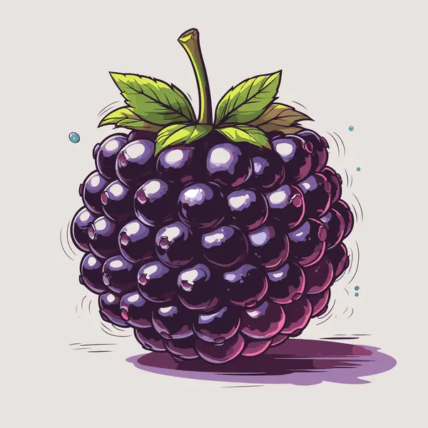 Tasarım için böğürtlen vektör sanatı