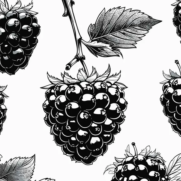 Tasarım için böğürtlen vektör sanatı