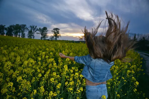 Gün batımında çiçek açan bir kolza tohumu tarlasında duran genç kadın. Saçları rüzgâr tarafından kaldırılırken güneşe bakıyor..