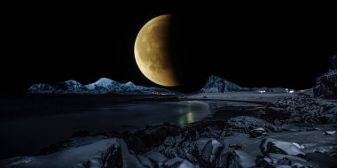 Norveç, Lofoten adalarındaki kutup ayısının gece sahnesi.