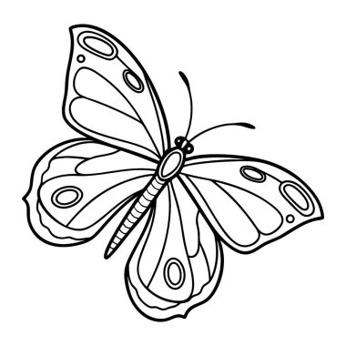 Doğa Tasarım Projeleri için Kelebek Çizgisi Çizimi