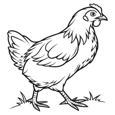 Vektör Çizgisi Sanat Biçiminde Soyut Tavuk Çizimi