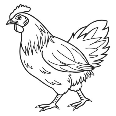 Minimalist Çizgi Biçiminde Siyah ve Beyaz Tavuk Çizimi