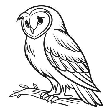 siyah ve beyaz baykuş çizimi