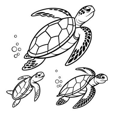 siyah ve beyaz kaplumbağalar minimum vektör çizgisi grafik