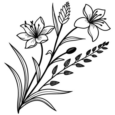 Siyah-beyaz çizim sanatı asgari kır çiçeği vektör çizgisi