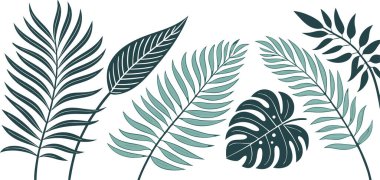 Tropik palmiye yaprakları, yaratıcı projenize egzotik bir dokunuşla modern ve canlı bir botanik titreşim getiriyor.