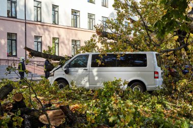 10 Ekim 2021, Riga Letonya: Şiddetli bir rüzgar yakındaki park halindeki bir arabanın üzerine düşen bir ağacı kırdı.