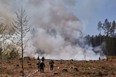 12 MAY 2023, Riga, Letonya: yangını söndürmek ormanı yok etti