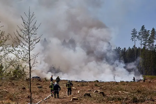 12 MAY 2023, Riga, Letonya: yangını söndürmek ormanı yok etti