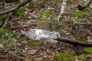Çevre kirliliği kavramı. Ormandaki plastik şişe.