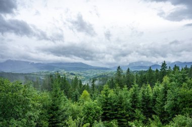 Dağlarda dağları olan güzel bir manzara.