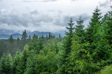 Dağlarda dağları olan güzel bir manzara.