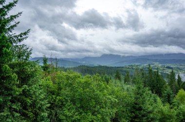 Dağlarda dağları olan güzel bir manzara.