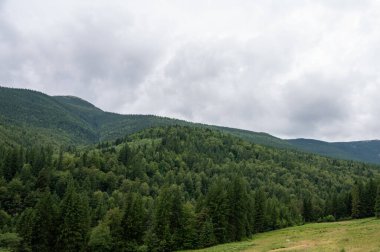 Yazın ormandaki güzel dağ manzarası