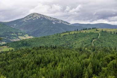 Yazın Ukrayna Karpatlarının yeşil dağları