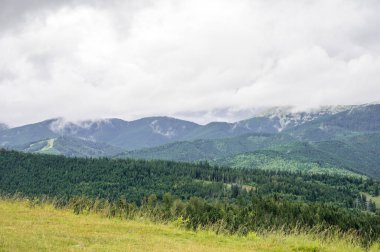 Yazın Ukrayna Karpatlarının yeşil dağları