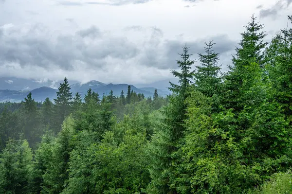 Dağlarda dağları olan güzel bir manzara.