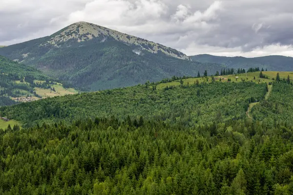 Yazın Ukrayna Karpatlarının yeşil dağları