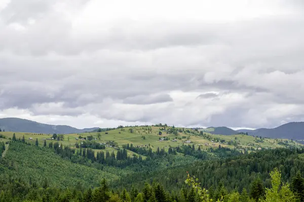 Karpatların yaz günündeki güzel manzarası