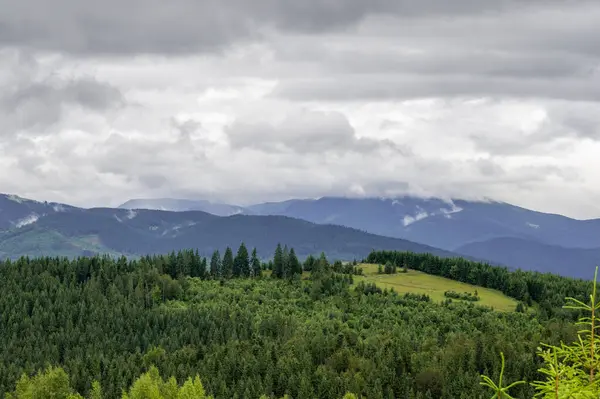 Karpatlar'ın dağ manzarası