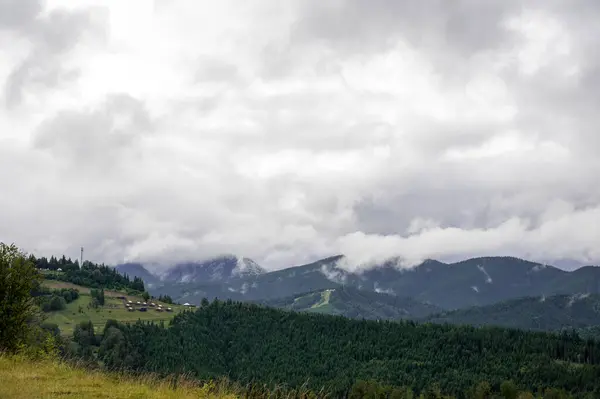 Karpatlar'ın dağ manzarası
