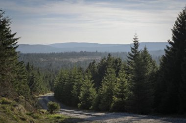 Dağ Manzaralı Orman Yolu, Harz, Almanya