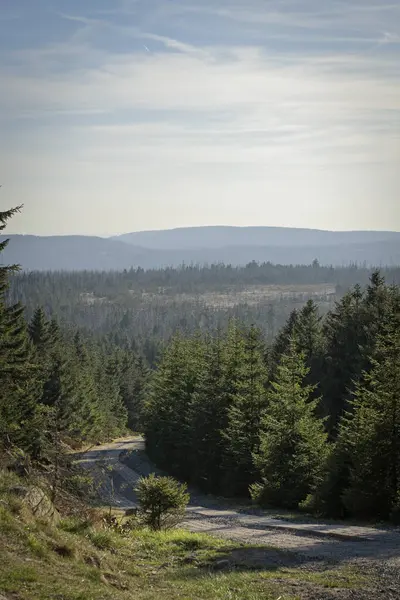 Almanya 'nın Harz Dağı' ndaki Orman Yolu Manzarası