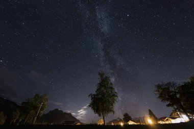 Gece Gökyüzü ve Samanyolu Ağaçların ve Dağların Üzerinde