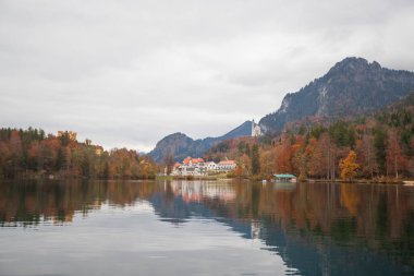 Neuschwanstein Şatosu 'ndaki Orman Vadisi' nde Sonbahar Nehri Yansıması