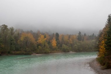Sisli Ormanlı Sonbahar Nehir Sahnesi