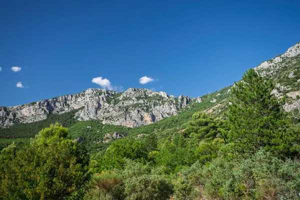 İsviçre 'nin Zürih kentinin manzarasında, tarihi sahtekar kilisesi yeşil bakır kulesi ve saati ile