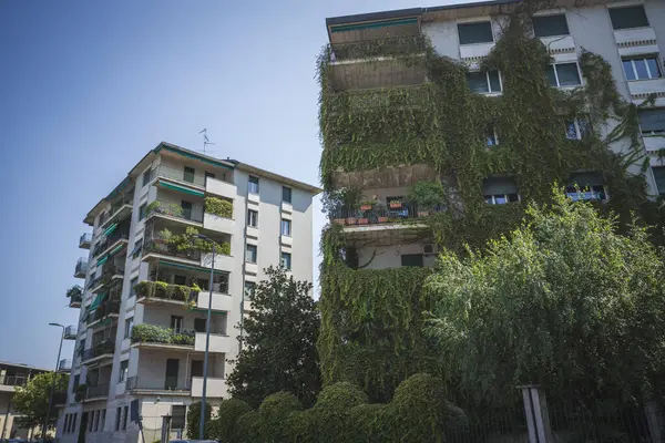 İsviçre 'nin Zürih kentinin manzarasında, tarihi sahtekar kilisesi yeşil bakır kulesi ve saati ile