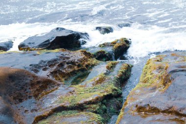 Dalgalar sahilde kayalara çarpıyor.