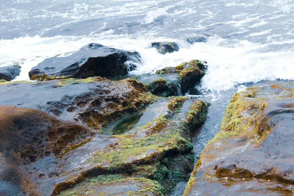 Dalgalar sahilde kayalara çarpıyor.