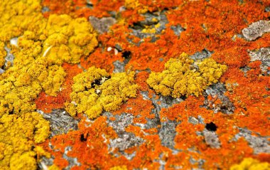 Çatlakları ve çizikleri olan taş bir duvarın dokusu arka plan olarak kullanılabilir.