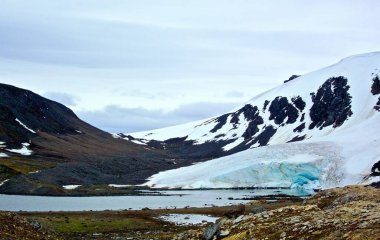 Güzel doğa manzarasının manzarası