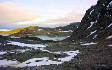 Norveç 'in güzel doğası Norveç' in kuzey adalarında