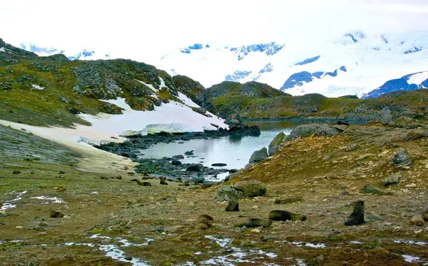 Karlı ve dağlı güzel bir manzara.